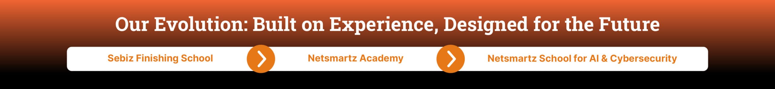 Netsmartz Academy timeline